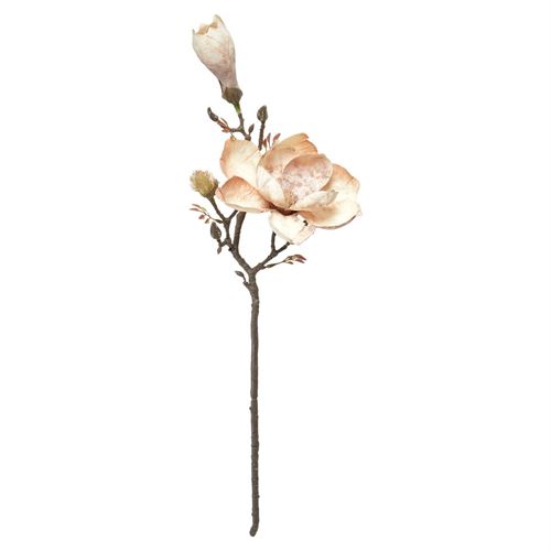SPEEDTSBERG MAGNOLIA STILK 58 CM, ROSE