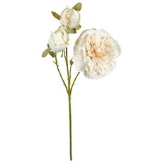 SPEEDTSBERG PÆON STILK 64 CM, WHITE