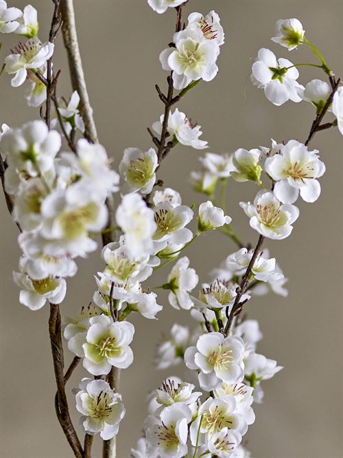 BLOOMINGVILLE APPLE GREN, HVID, KUNSTIGE BLOMSTER