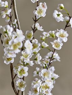 BLOOMINGVILLE APPLE GREN, HVID, KUNSTIGE BLOMSTER