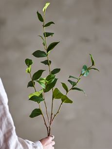 BLOOMINGVILLE EUCALYPTUS STILK, GRØN, KUNSTIGE BLOMSTER