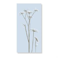 SPEEDTSBERG SERVIET, L. BLUE/WHITE