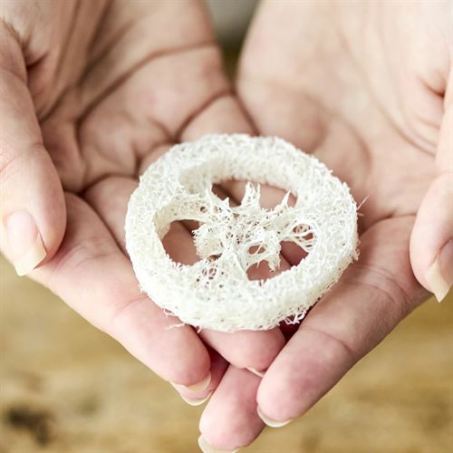 KYSTNÆR LOOFAH SÆBEHOLDER