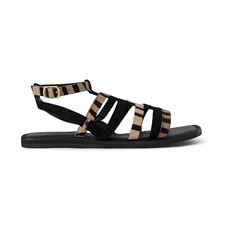 SHOE THE BEAR SANDAL, TAO GLADIATOR SANDAL, SORT